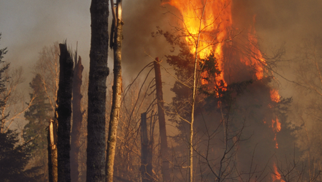 2021 Lintelmann, Chester Charles II, Itasca State Park